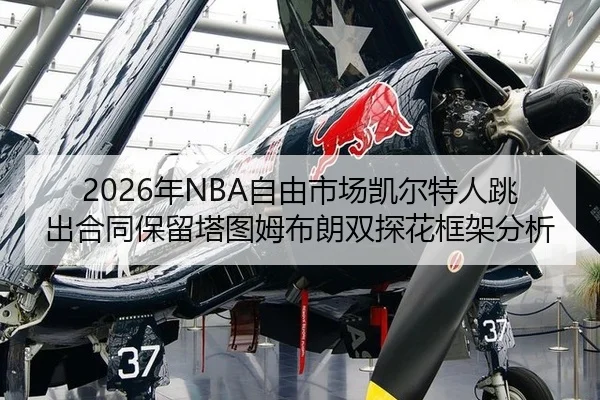 nian-zi-you-shi-chang-kai-er-te-ren-tiao-chu-he-tong-bao-liu-ta-tu-mu-bu-lang-shuang-tan-hua-kuang-jia-fen-xi-2-446.jpg