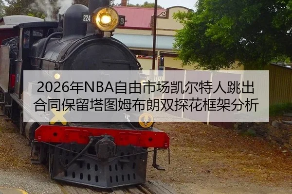nian-zi-you-shi-chang-kai-er-te-ren-tiao-chu-he-tong-bao-liu-ta-tu-mu-bu-lang-shuang-tan-hua-kuang-jia-fen-xi-1-468.jpg