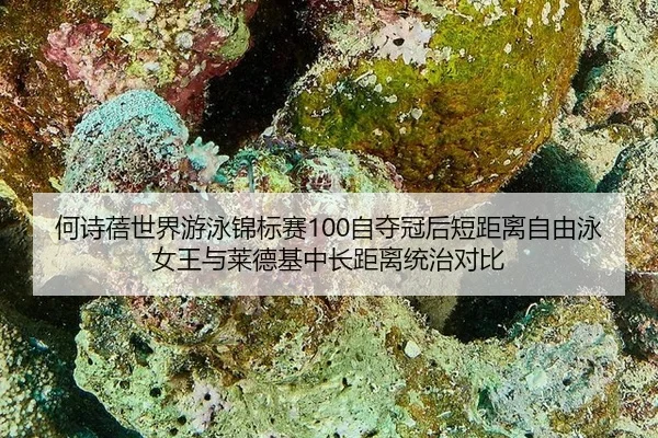 he-shi-bei-shi-jie-you-yong-jin-biao-sai-zi-duo-guan-hou-duan-ju-li-zi-you-yong-nv-wang-yu-lai-de-ji-zhong-chang-ju-li-3-694.jpg