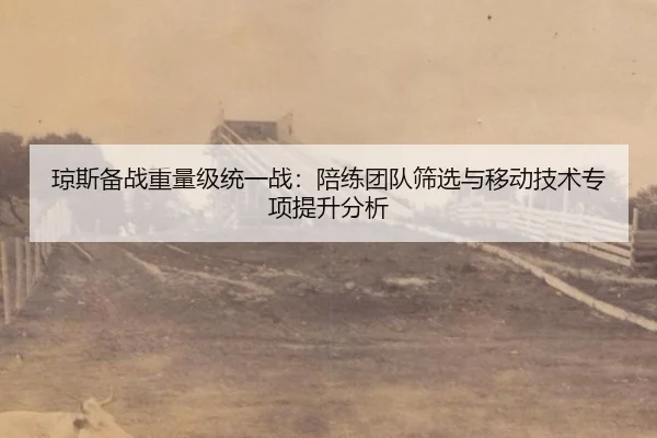 琼斯备战重量级统一战：陪练团队筛选与移动技术专项提升分析